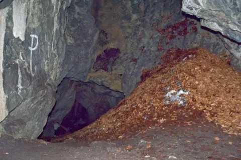 Dziura