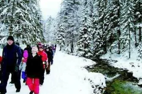 Hałaśliwa Dolina Strążyska