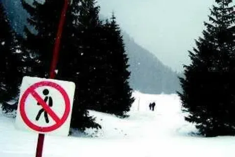 Święty spokój dla zwierząt
