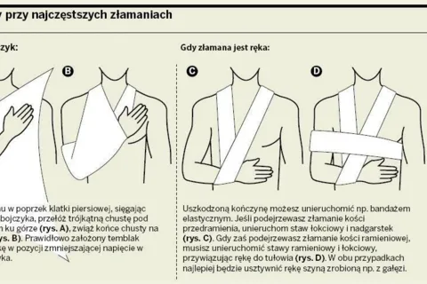 Jak zachowywać się na górskich szlakach