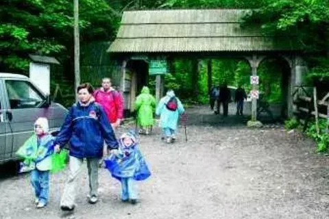Często bywają tu niedźwiedzie