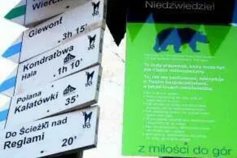 Niedźwiedzie schodzą niżej