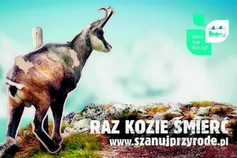 TPN apeluje: chroń przyrodę, bo „będzie po ptokach”