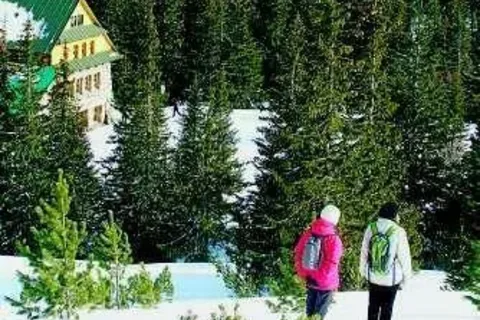W Morskim Oku lawina połamała las