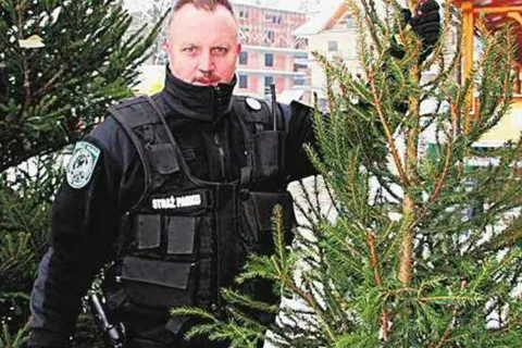 Jodełki pod specjalnym nadzorem... straży parku