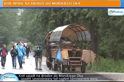 Koń upadł na drodze do Morskiego Oka