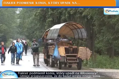 Fiakier podmienił konia, który upadł na Włosienicy?