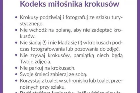 Bądź opiekunem krokusów