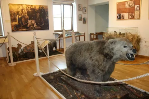 Z niedźwiedziem za pan brat -wystawa w Muzeum Podhalańskim
