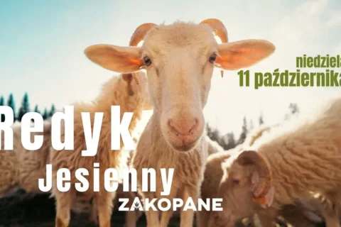 Redyk Jesienny 2026. Żywa tradycja Zakopanego.