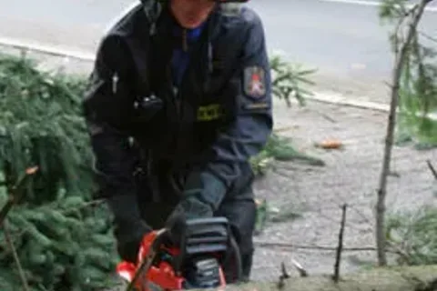 Połamane drzewa, fruwające parasole