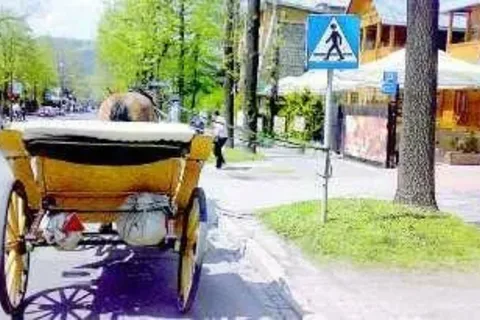 Z cyklu: koń by się uśmiał...