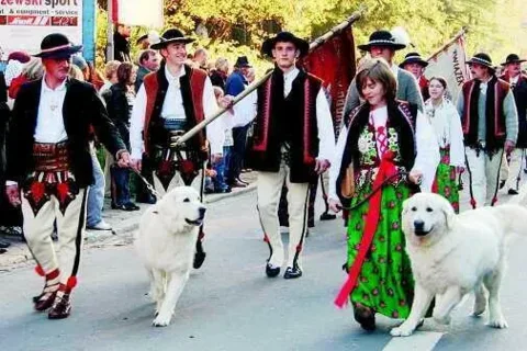 Zakopane świętowało wielkim korowodem