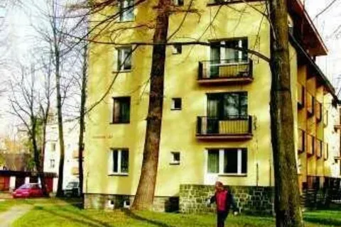 Co jest ważniejsze – drzewo czy my?