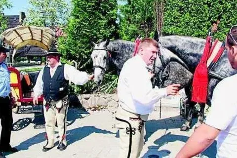 Znowu poniosły spłoszone konie. Tym razem ucierpiało jedynie zwierzę