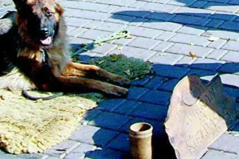 Górale sami utrwalają obraz pazernego górala