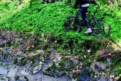 Brzegi Bystrej staną się promenadą spacerową?