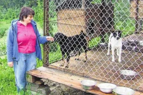 Pies ze schroniska bez podatku