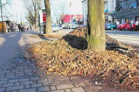 Burmistrzowie, czas na porządki w mieście!