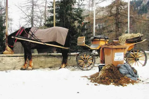 KUŹNICE. Końskie łajno szpeci perełkę Zakopanego