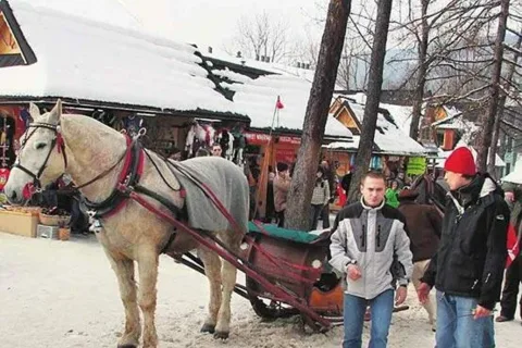 Koń z „charakterem" nie może wozić panów