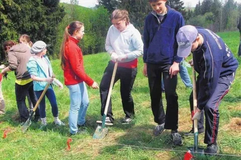 Tuż przy Zoniówce wyrośnie 4000 drzew