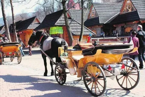 Zakopane: mijają miesiące, a koński problem trwa!