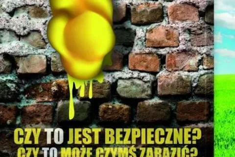Co to za żółte kokony…