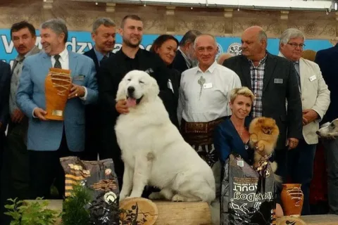 V Międzynarodowa Wystawa Psów Rasowych - Zakopane 2017