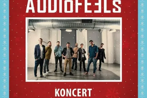 Koncert zespołu AudioFeels