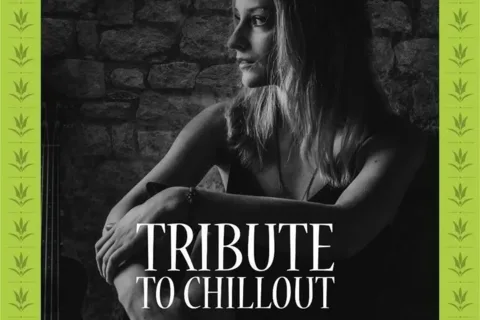 Julia Mii &Witek N… Tribute to chillout