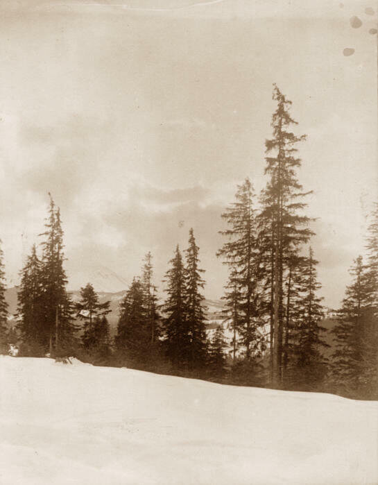 Zakopane i Tatry na starych fotografiach
