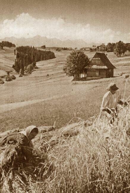 Zakopane i Tatry na starych fotografiach
