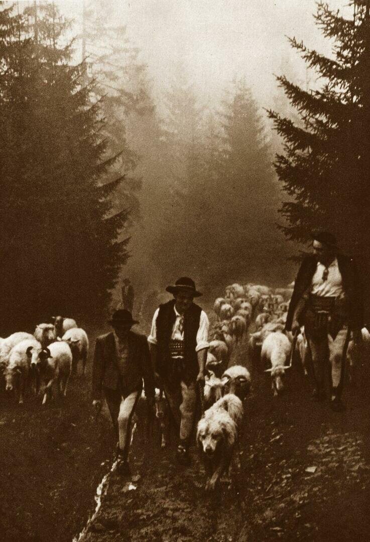 Zakopane i Tatry na starych fotografiach
