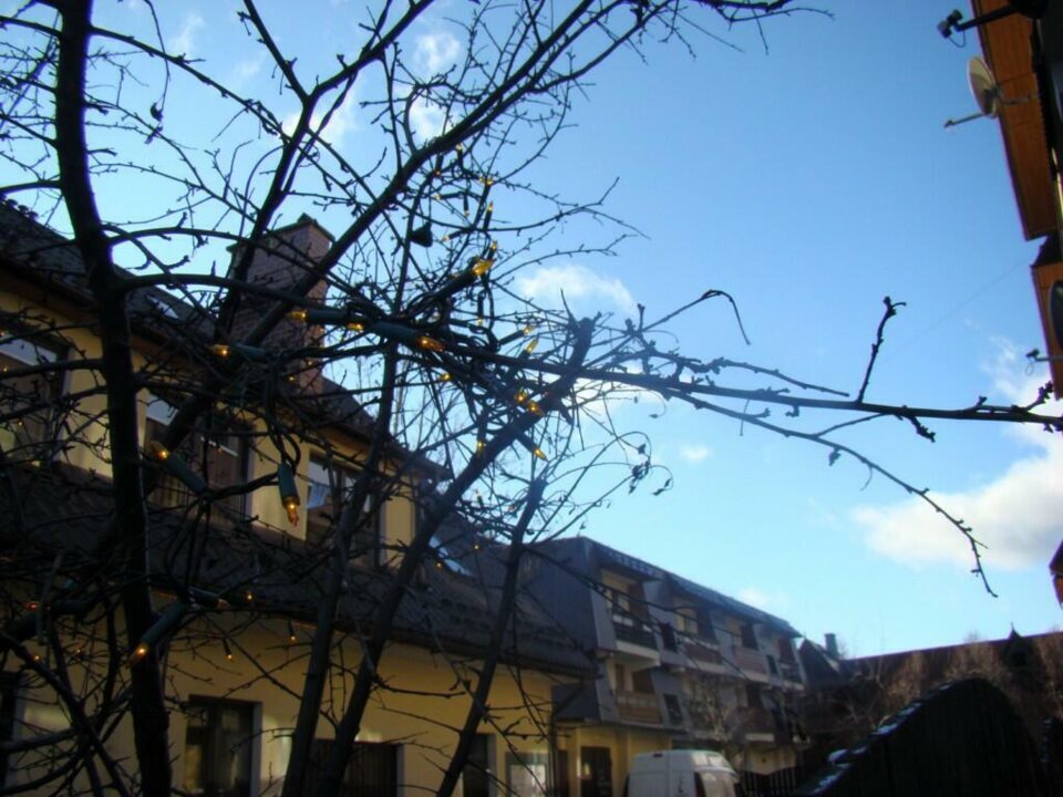 Święta bez śniegu - Zakopane 2009_2