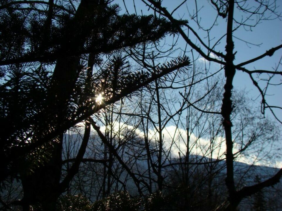 Święta bez śniegu - Zakopane 2009_5