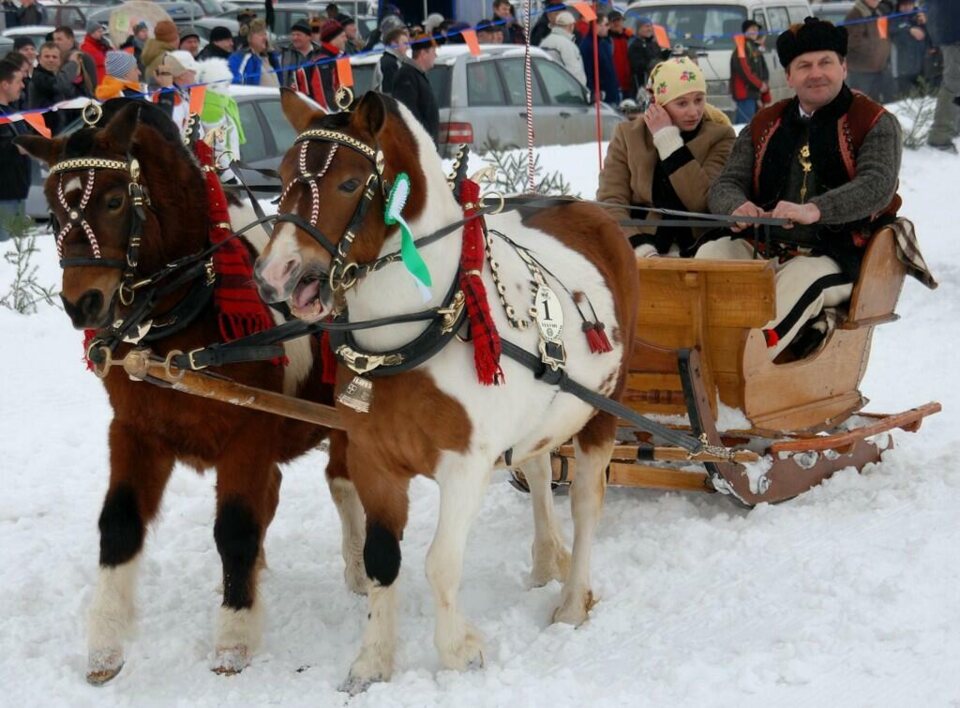 Góralski Karnawał - dzień 5 - kumoterki_8