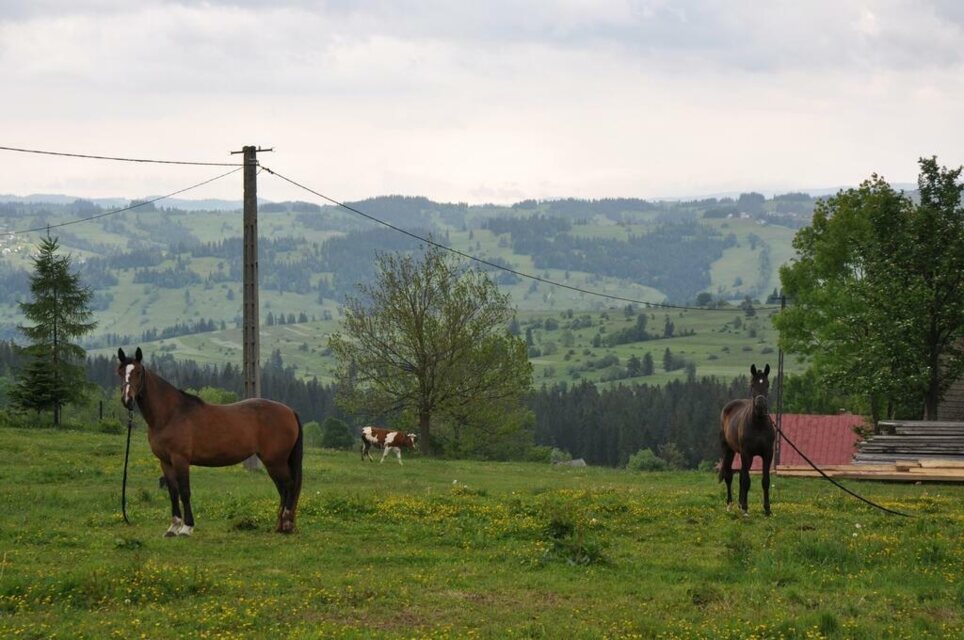 XII Pielgrzymka Sursum Corda_42
