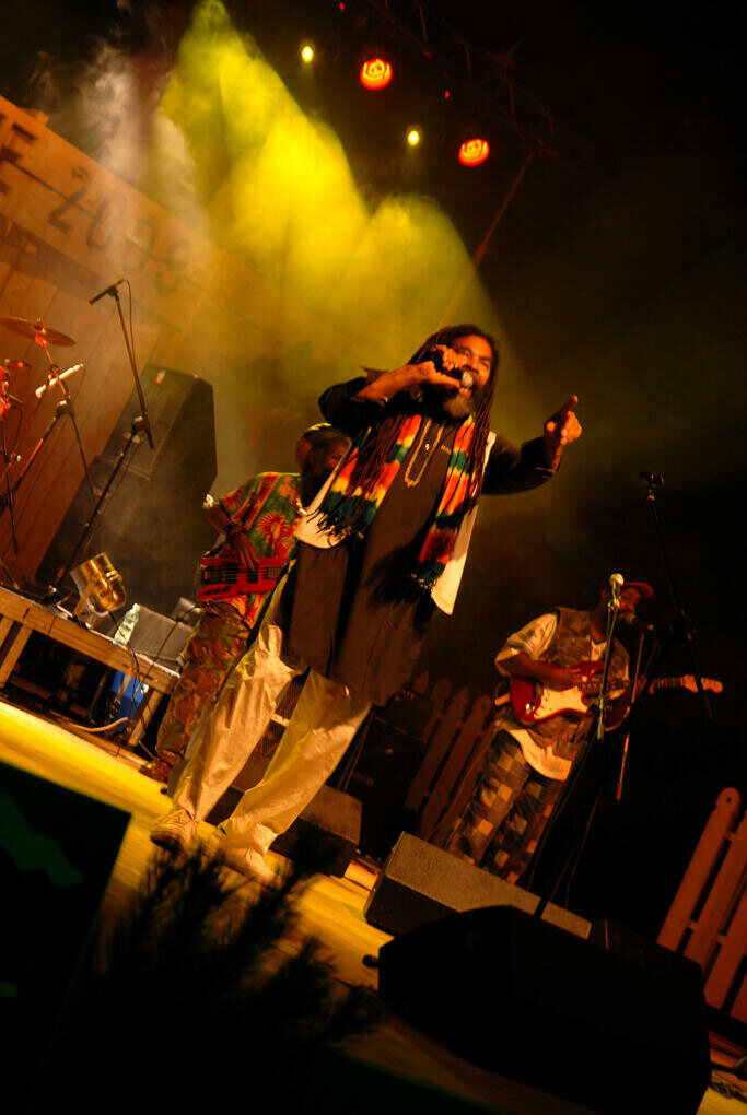 Trebunie Tutki i The Twinkle Brothers w Zakopanem_10