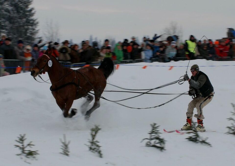 Góralski Karnawał - dzień 5 - kumoterki_33