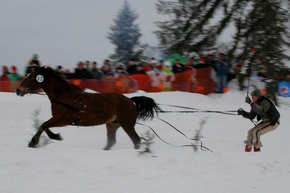 Góralski Karnawał - dzień 5 - kumoterki_40