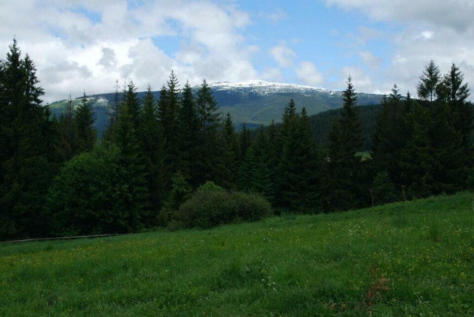 Zmagania Orawskie - Wiosna 2009_77