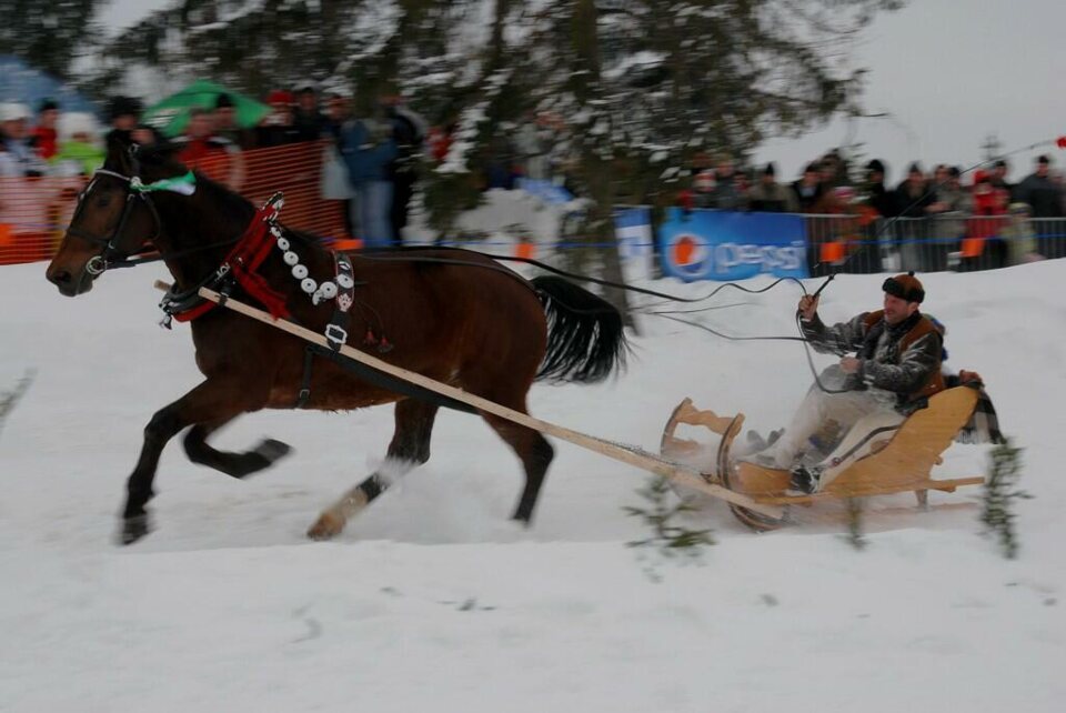 Góralski Karnawał - dzień 5 - kumoterki_42