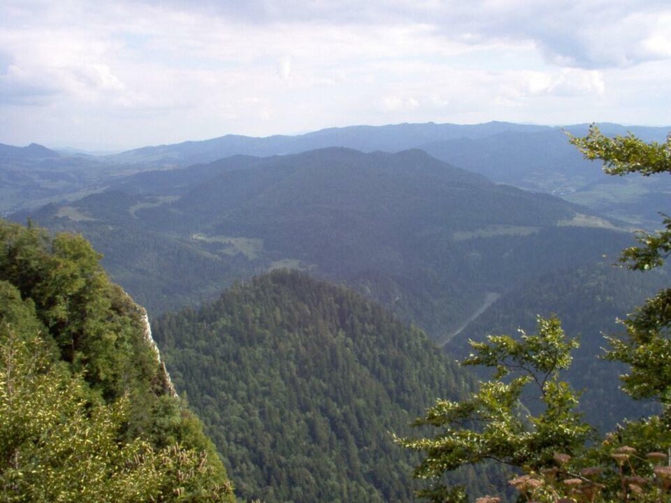 Czerwcowa wycieczka w Pieniny_31