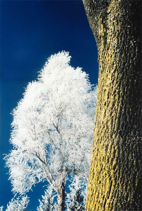 "TATRZAŃSKA JESIEŃ 2004" - nagrodzone prace