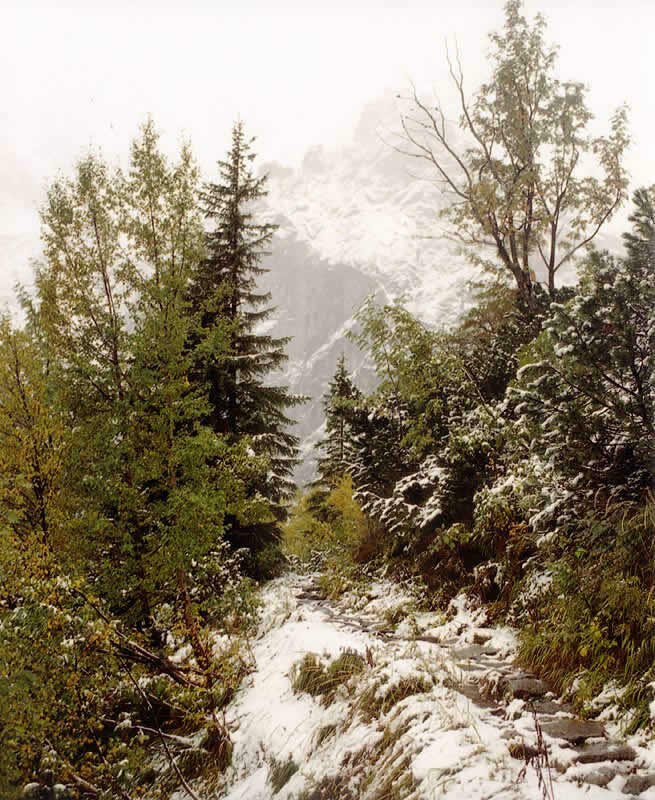 "TATRZAŃSKA JESIEŃ 2004" - nagrodzone prace