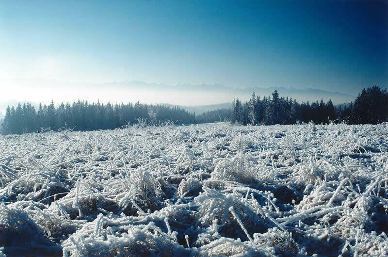 "TATRZAŃSKA JESIEŃ 2004" - nagrodzone prace