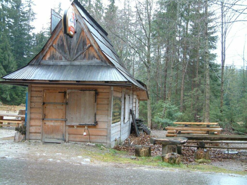 Zrywka drzewa w Chochołowskiej_19