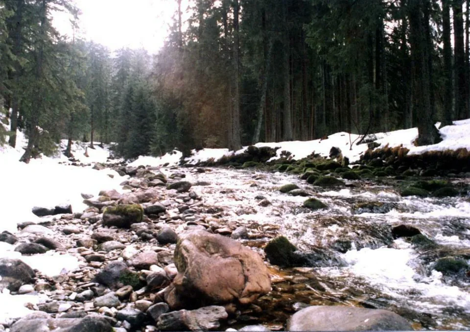 Dolina Kościeliska
