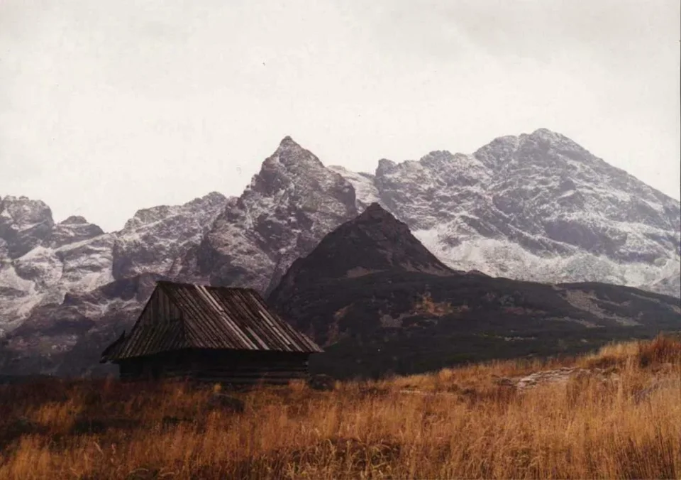 Hala Gąsienicowa
